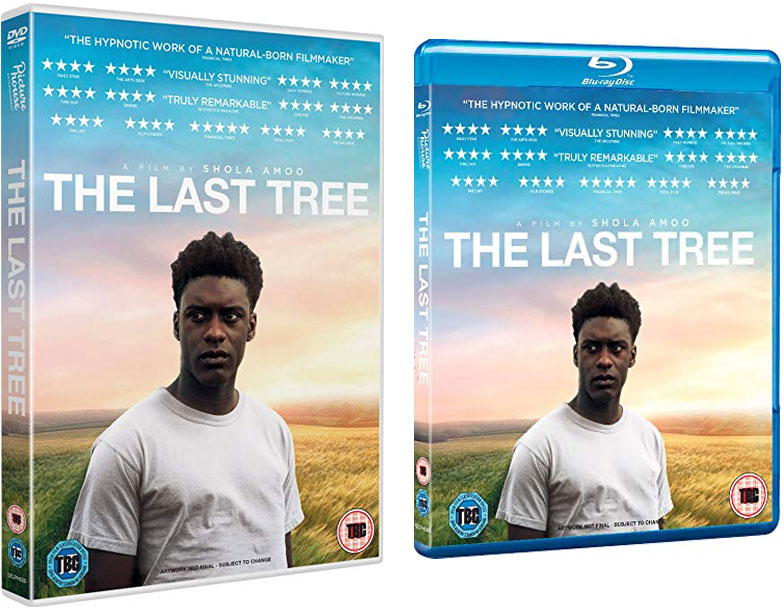 The Last Tree Blu-ray & DVD cover art