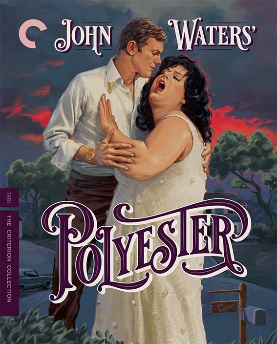 Polyester Blu-ray cover art