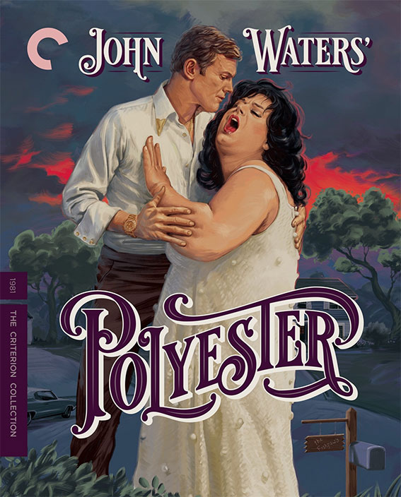 Polyester Blu-ray cover art