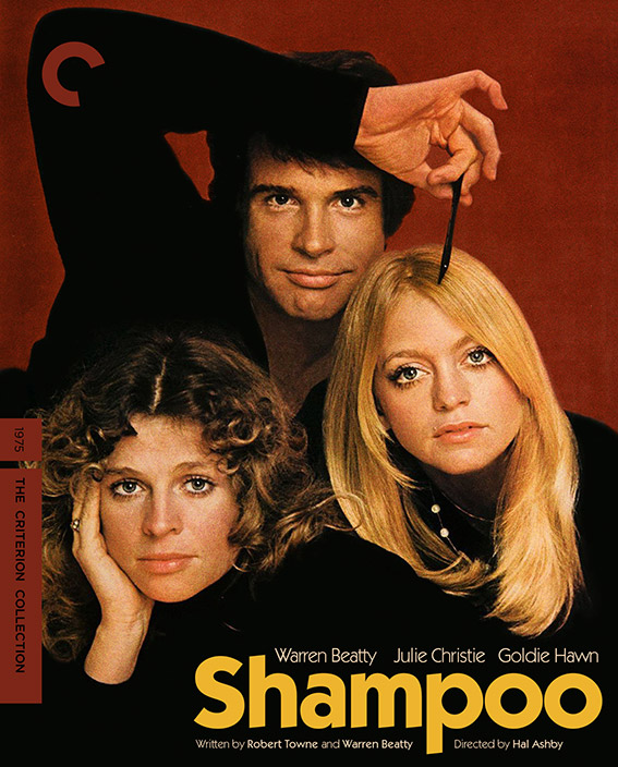 Shampoo Blu-ray cover art