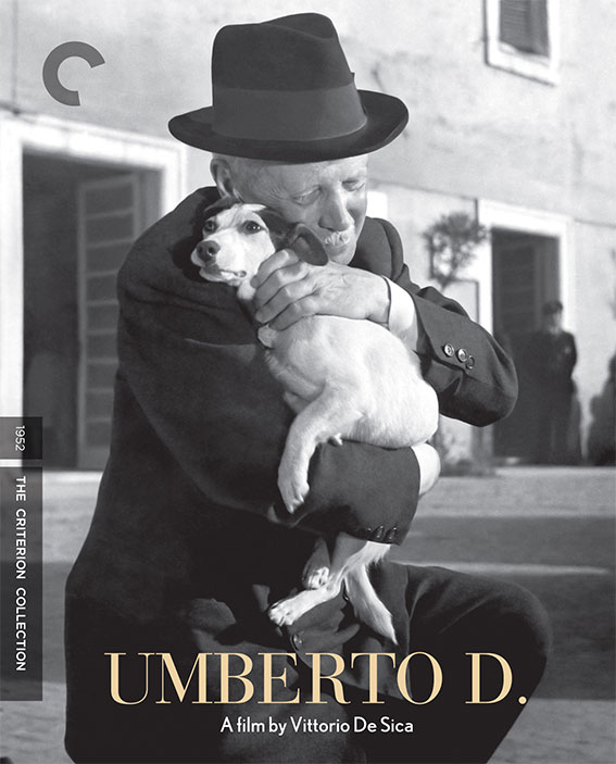 Umberto D. Blu-ray cover art