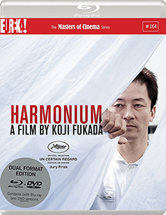 Harmonium dual format cover