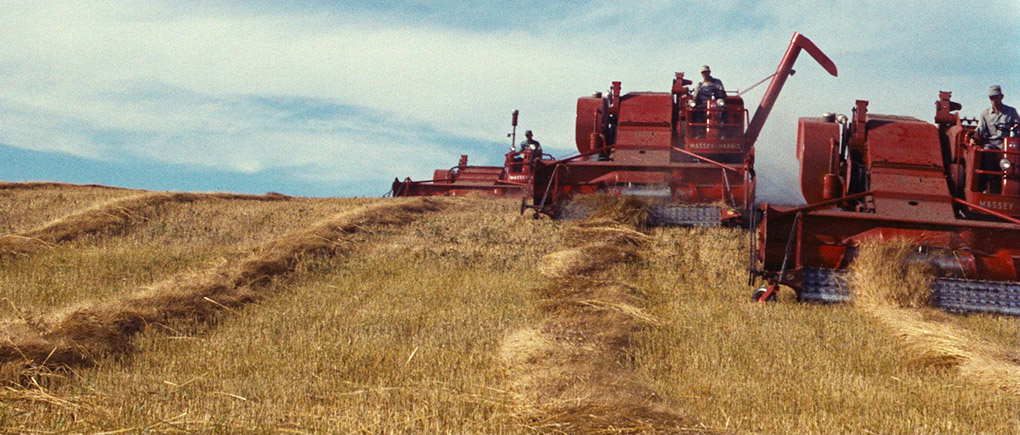 Combine harvesters come over the hill