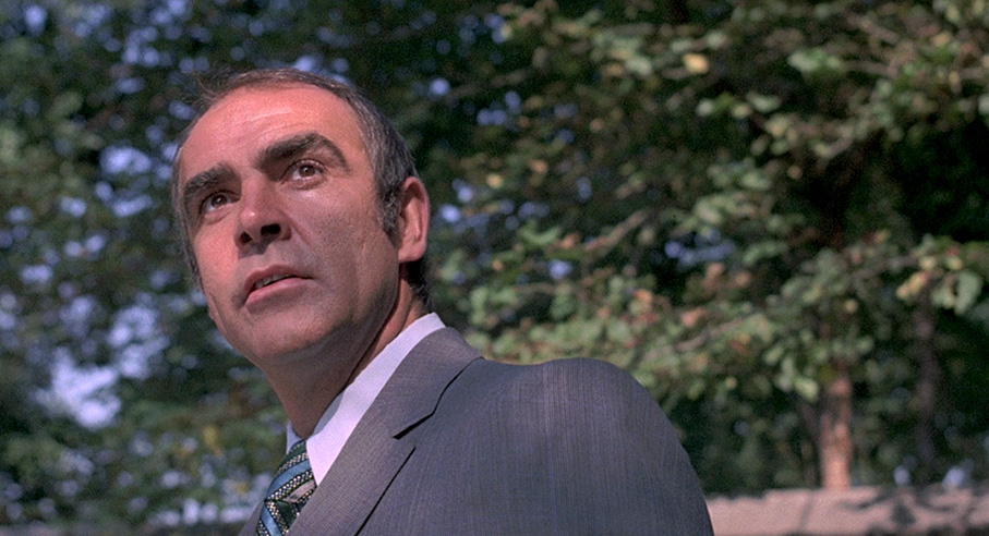 Sean Connery in The Anderson Tapes