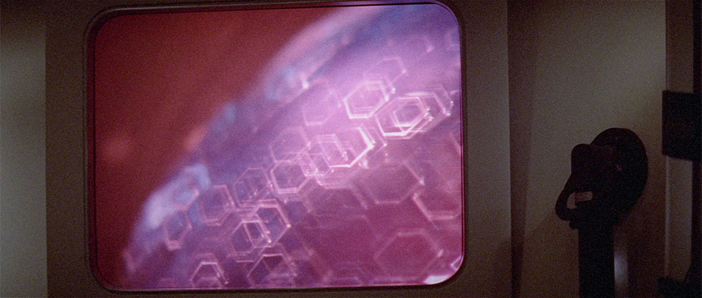 The microorganism grows