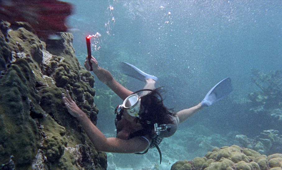 Gloria battles the creature underwater