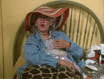 Grey Gardens Dvd Review Cine Outsider