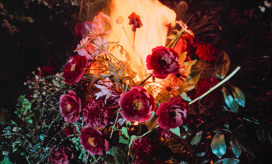 The girl burns a piule of roses