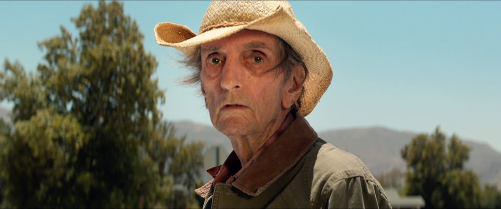 Harry Dean Stanton as Lucky