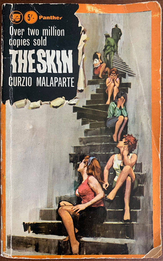 The Skin by Curzio Malaparte book cover