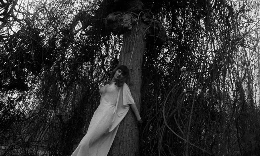 Folk horror in The Rape of the Vampire