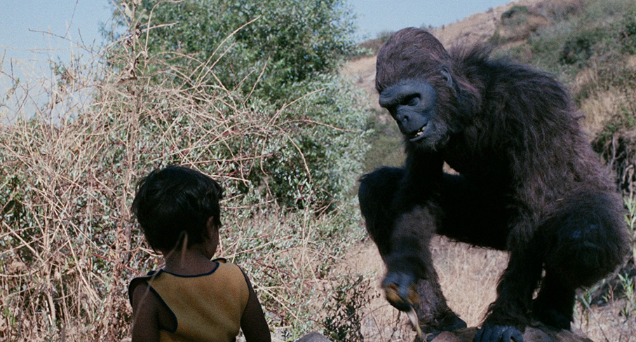 Schlock meets a local kid