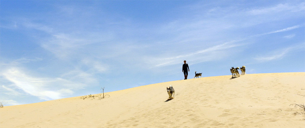 Clint and his digs find themselves in the desert