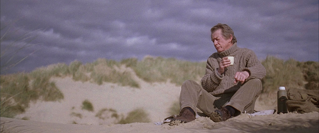 Parkin takes a lonely picnic on the beach