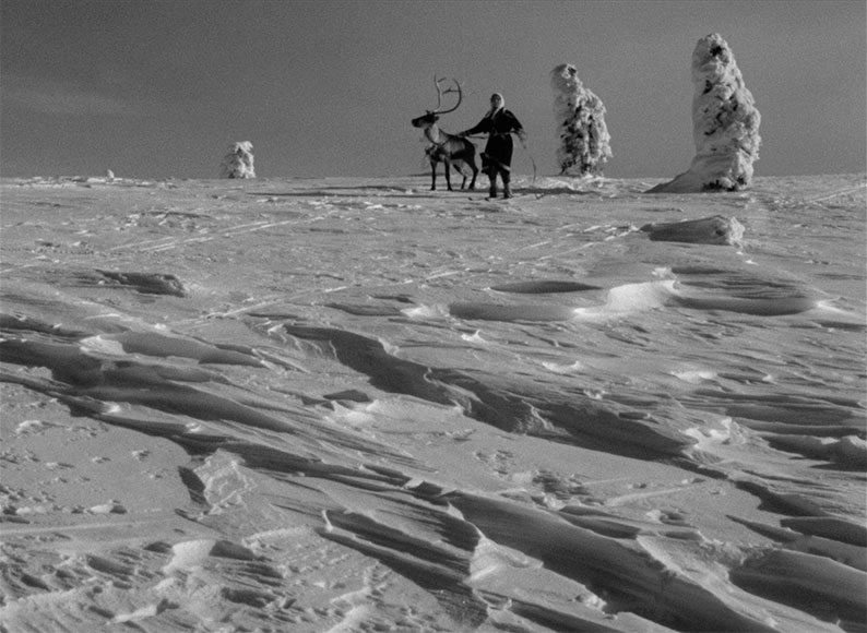 The white and detailed snowscape