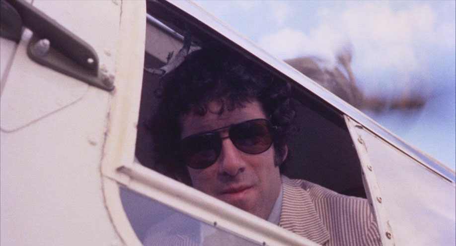 Elliot Gould as Sean Rogers