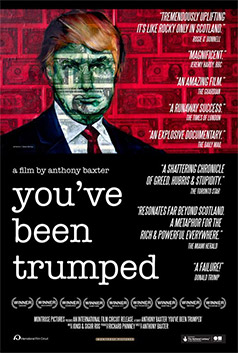 You've Been Trumped poster